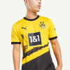 Áo dortmund sân nhà