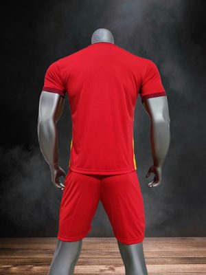 Áo việt nam đỏ sân nhà