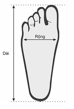 Hướng dẫn đo size giày bóng đá