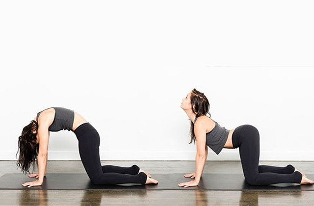 4 bài tập Yoga chữa gù lưng bạn không nên bỏ qua